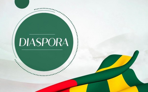 Invitation de la Diaspora Togolaise 16 novembre 2024