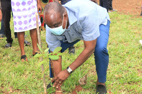 Le Togo c&eacute;l&egrave;bre la journ&eacute;e de l’Arbre