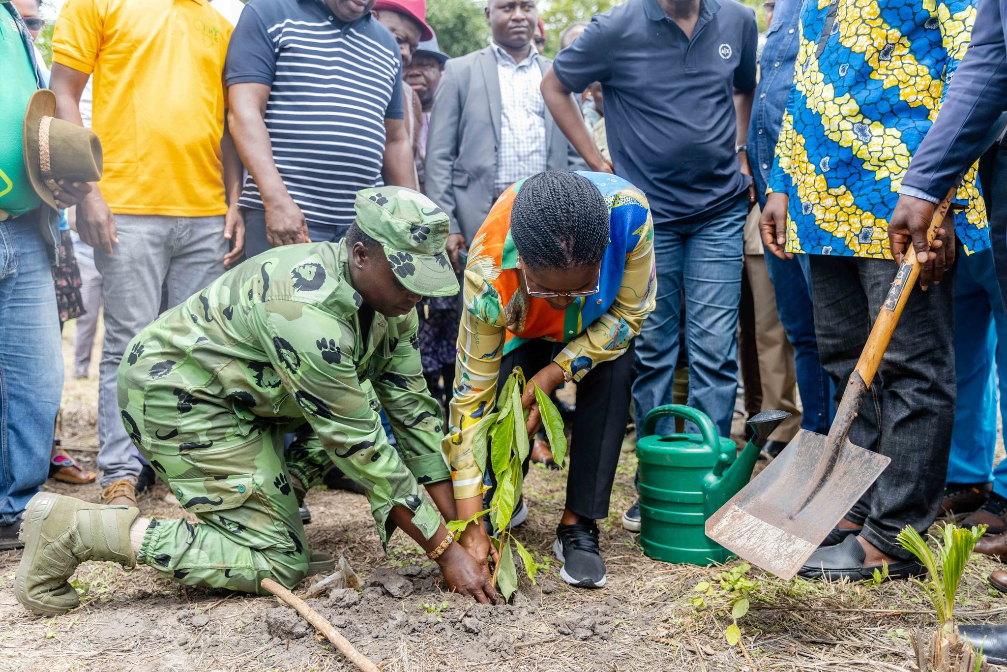1er juin : coup d'envoi de la campagne nationale de reboisement 2023